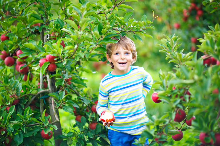 Visit North Central Massachusetts - Home of Johnny Appleseed