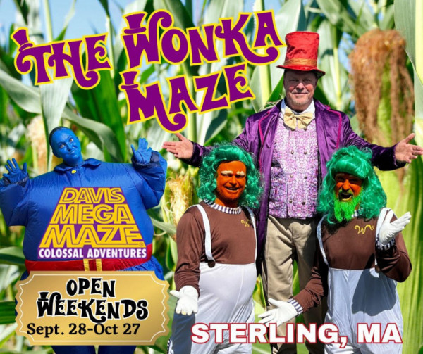 Davis Mega Maze - The Wonka Maze