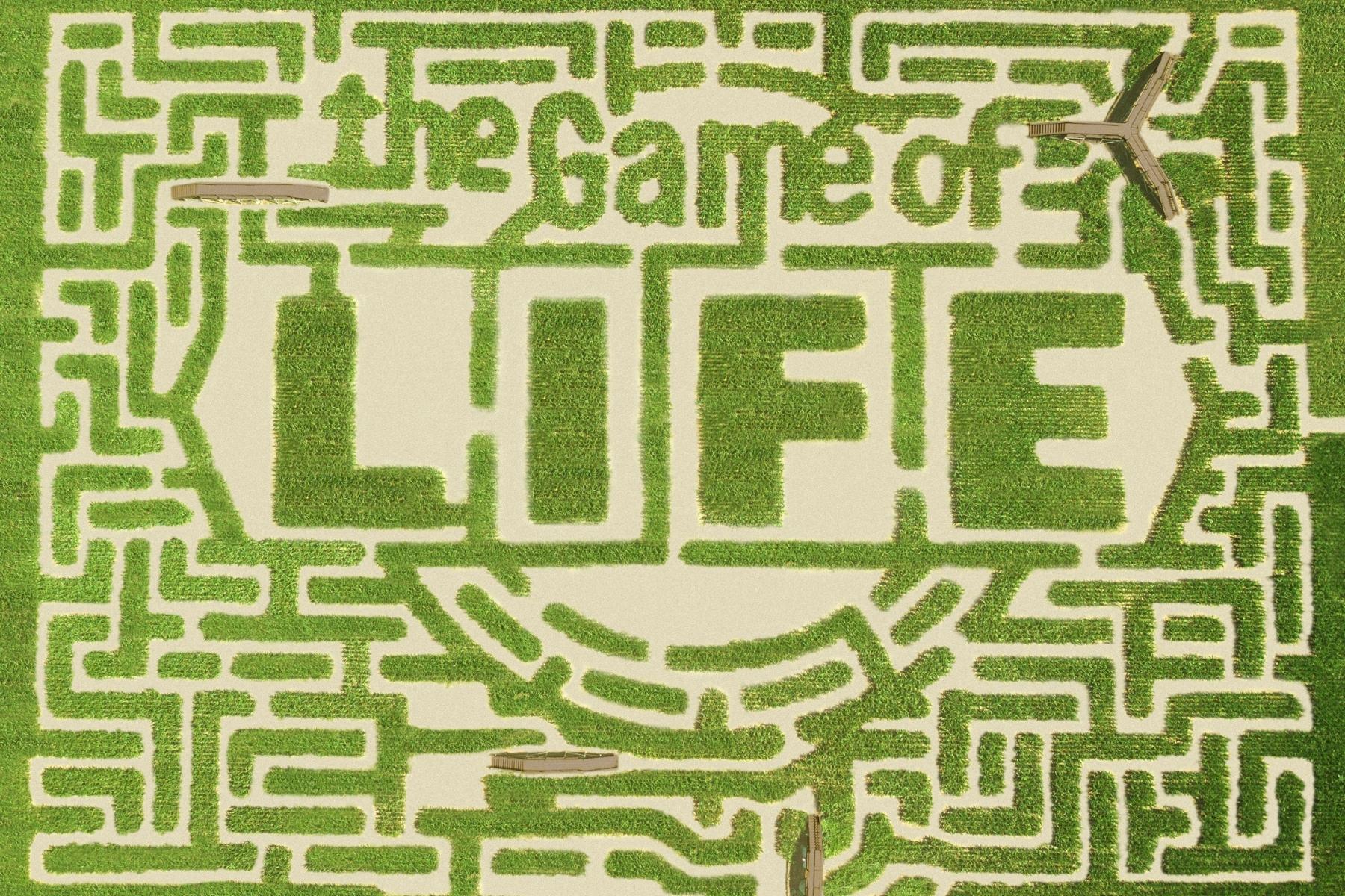 The Grand Opening of “The Game of Life” at Davis Mega Maze • Visit